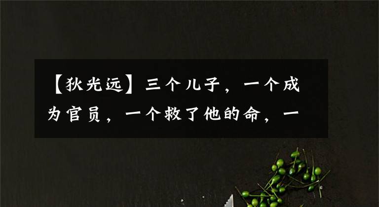 【狄光远】三个儿子，一个成为官员，一个救了他的命，一个成为坑爹