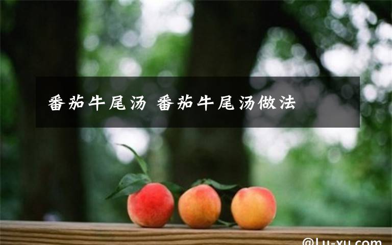 番茄牛尾汤 番茄牛尾汤做法