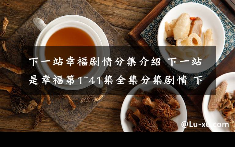 下一站幸福剧情分集介绍 下一站是幸福第1~41集全集分集剧情 下一站是幸福第25~26集剧情预告