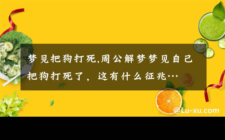 梦见把狗打死,周公解梦梦见自己把狗打死了，这有什么征兆…