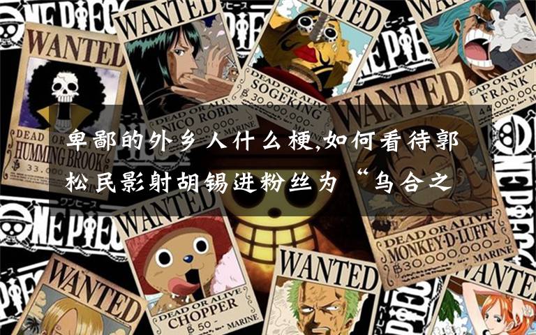 卑鄙的外乡人什么梗,如何看待郭松民影射胡锡进粉丝为“乌合之众”？