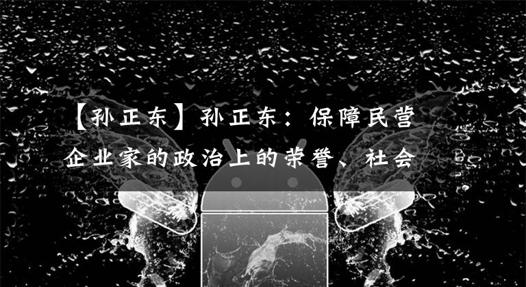【孙正东】孙正东:保障民营企业家的政治上的荣誉、社会上的礼遇、生活上的待遇。