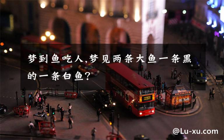 梦到鱼吃人,梦见两条大鱼一条黑的一条白鱼?