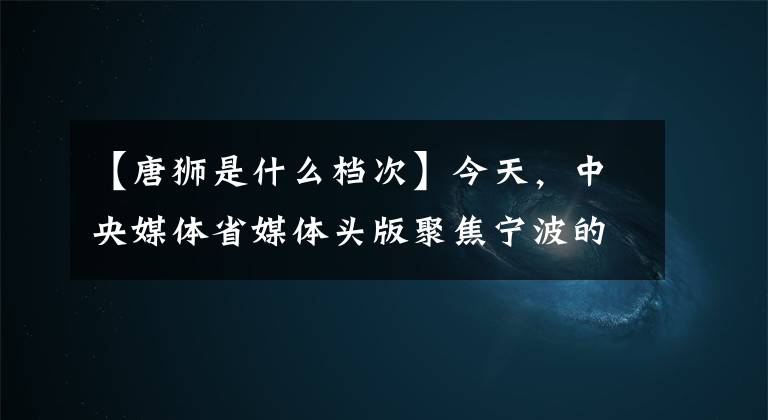 【唐狮是什么档次】今天,中央媒体省媒体头版聚焦宁波的“红色裁缝”。