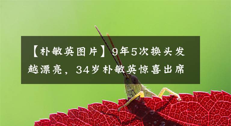 【朴敏英图片】9年5次换头发越漂亮,34岁朴敏英惊喜出席发布会,网友:一见钟情