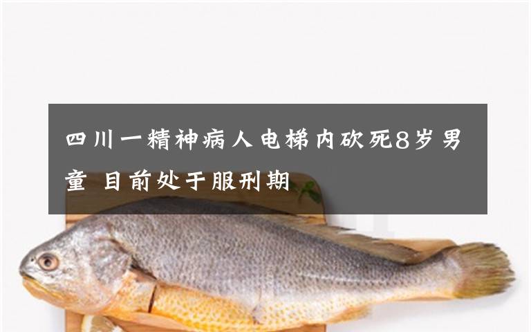 四川一精神病人电梯内砍死8岁男童 目前处于服刑期