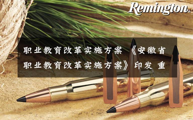 职业教育改革实施方案 《安徽省职业教育改革实施方案》印发 重点建设10所左右高水平应用型本科院校