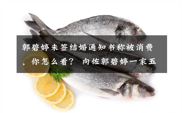 郭碧婷未签结婚通知书称被消费，你怎么看？ 向佐郭碧婷一家五口