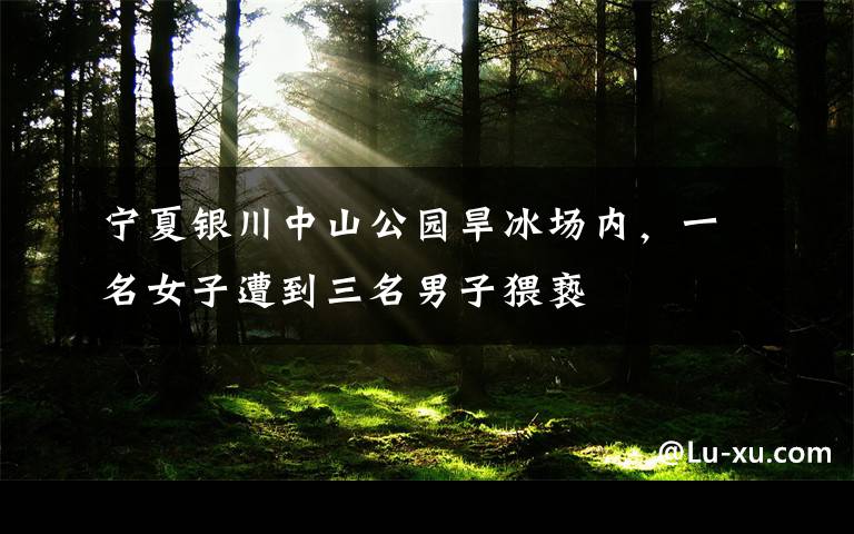 宁夏银川中山公园旱冰场内,一名女子遭到三名男子猥亵