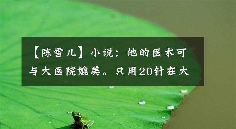 【陈雪儿】小说：他的医术可与大医院媲美。只用20针在大医院治疗无法治愈的疾病