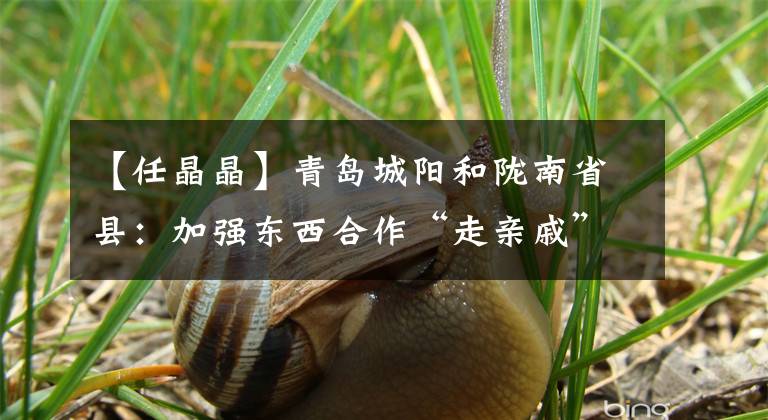 【任晶晶】青岛城阳和陇南省县:加强东西合作“走亲戚”合力(图)