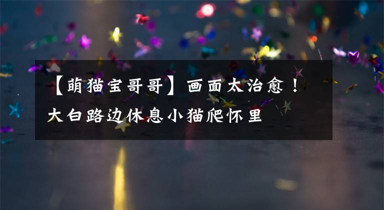 【萌猫宝哥哥】画面太治愈！大白路边休息小猫爬怀里