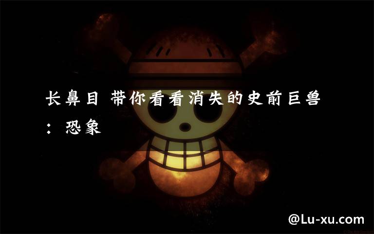 长鼻目 带你看看消失的史前巨兽:恐象