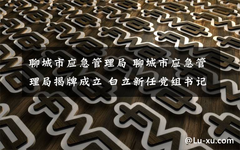 聊城市应急管理局 聊城市应急管理局揭牌成立 白立新任党组书记
