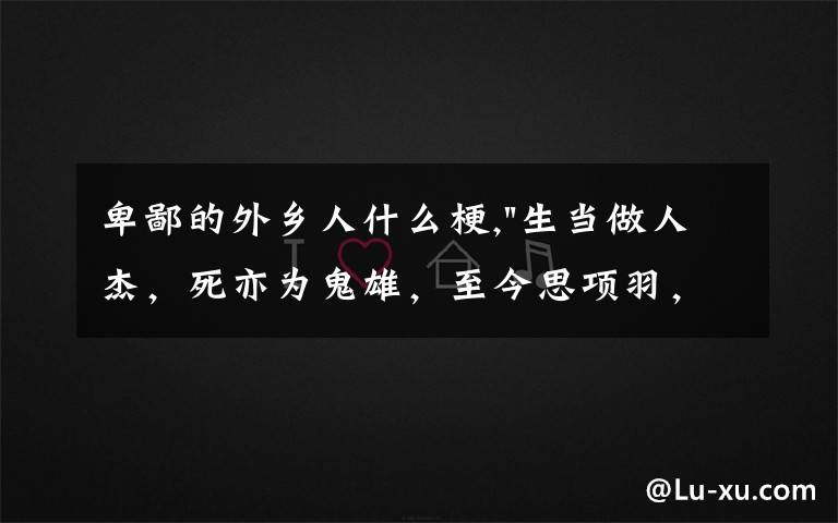 卑鄙的外乡人什么梗,