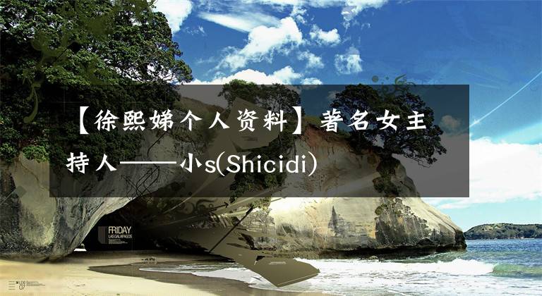 【徐熙娣个人资料】著名女主持人——小s(Shicidi)