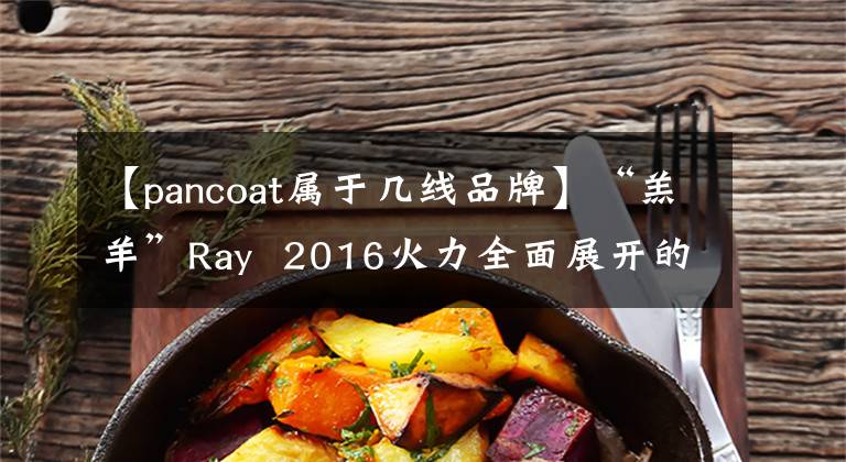 【pancoat属于几线品牌】“羔羊”Ray 2016火力全面展开的上海代表韩国赵彪范科特(Pancoat)