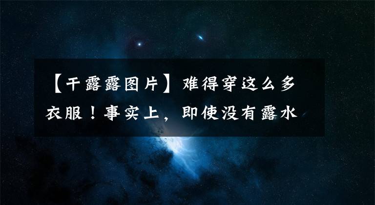 【干露露图片】难得穿这么多衣服!事实上,即使没有露水,干燥的露水也能成为安息之所。