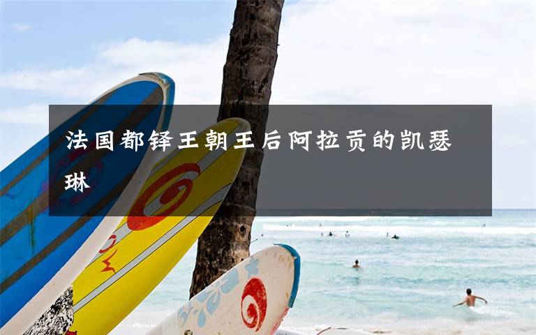 法国都铎王朝王后阿拉贡的凯瑟琳