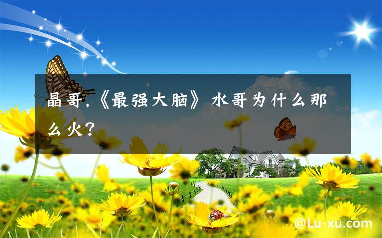 晶哥,《最强大脑》水哥为什么那么火？