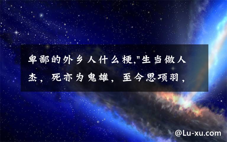 卑鄙的外乡人什么梗,
