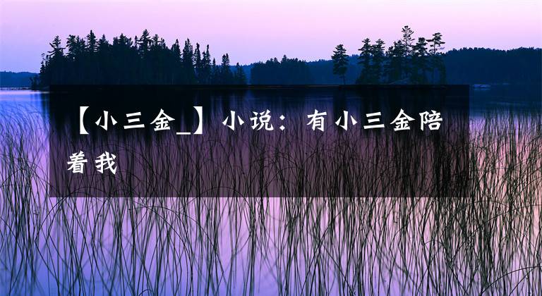 【小三金_】小说：有小三金陪着我