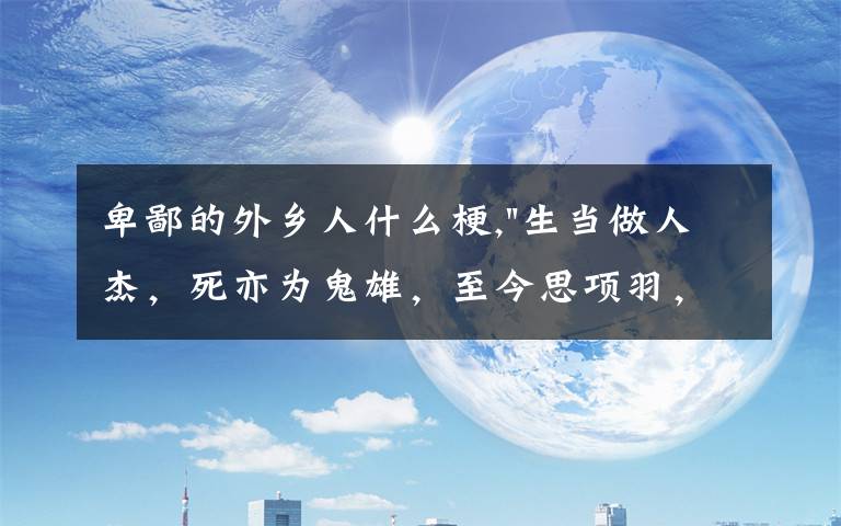 卑鄙的外乡人什么梗,