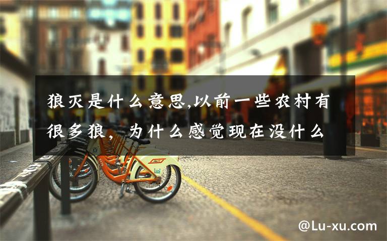 狼灭是什么意思,以前一些农村有很多狼,为什么感觉现在没什么了呢?