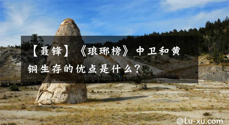 【聂锋】《琅琊榜》中卫和黄铜生存的优点是什么？