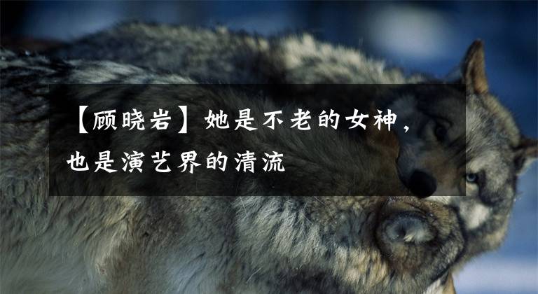 【顾晓岩】她是不老的女神,也是演艺界的清流