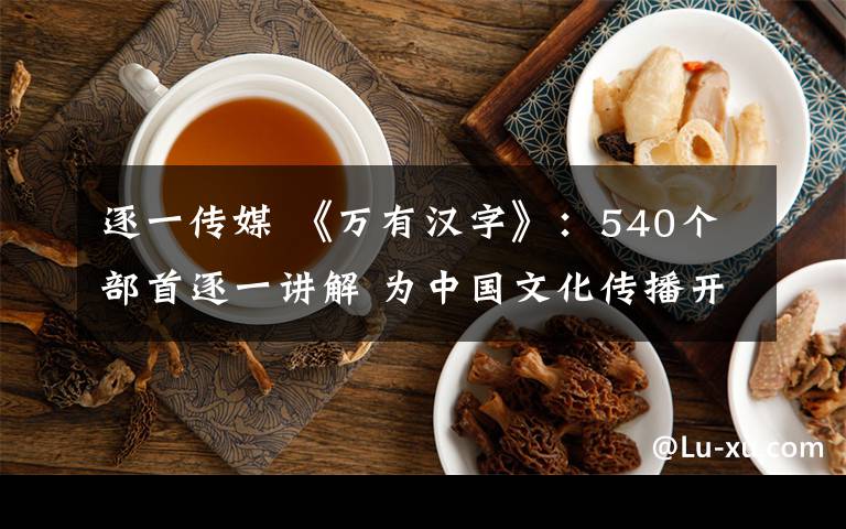 逐一传媒 《万有汉字》:540个部首逐一讲解 为中国文化传播开辟新途径