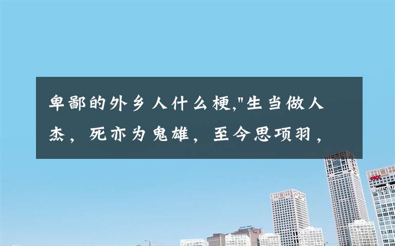 卑鄙的外乡人什么梗,