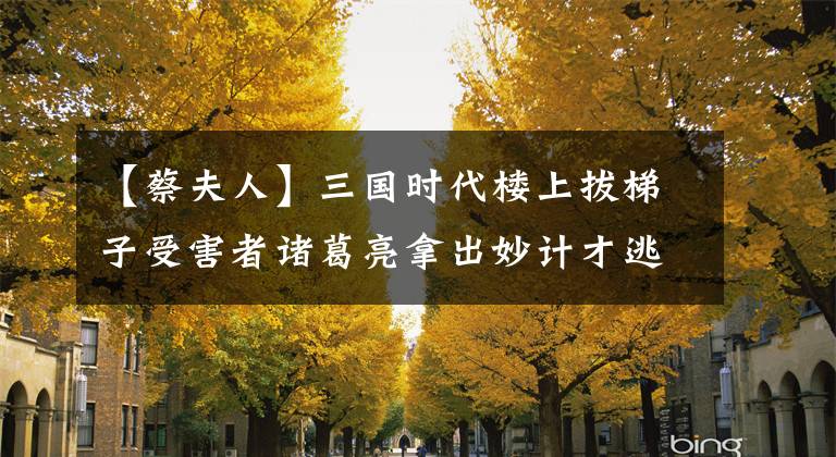 【蔡夫人】三国时代楼上拔梯子受害者诸葛亮拿出妙计才逃出来。