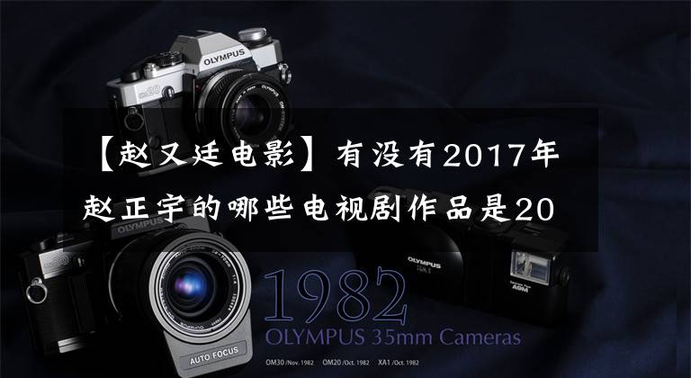 【赵又廷电影】有没有2017年赵正宇的哪些电视剧作品是2017年赵正宇新拍的电视剧介绍?