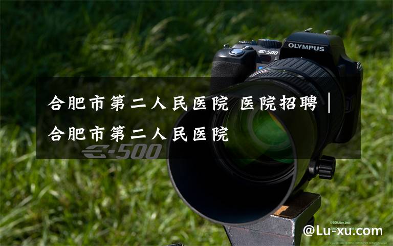 合肥市第二人民医院 医院招聘|合肥市第二人民医院