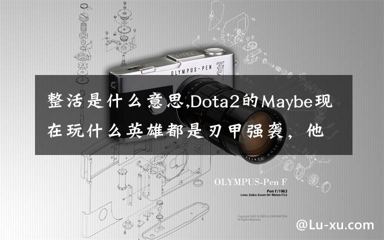 整活是什么意思,Dota2的Maybe现在玩什么英雄都是刃甲强袭,他这样是不是在