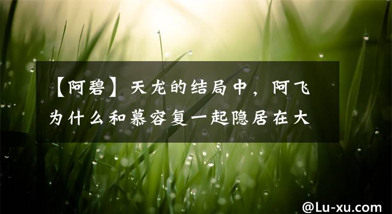 【阿碧】天龙的结局中，阿飞为什么和慕容复一起隐居在大理城外？与王语嫣无关