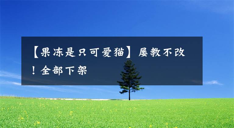 【果冻是只可爱猫】屡教不改!全部下架