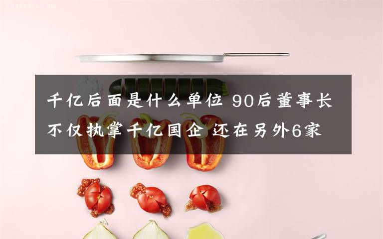 千亿后面是什么单位 90后董事长不仅执掌千亿国企 还在另外6家单位兼任董监高