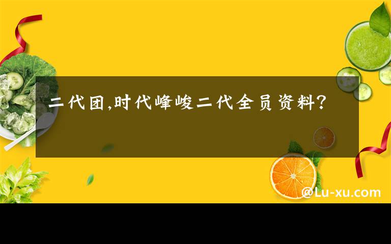 二代团,时代峰峻二代全员资料？