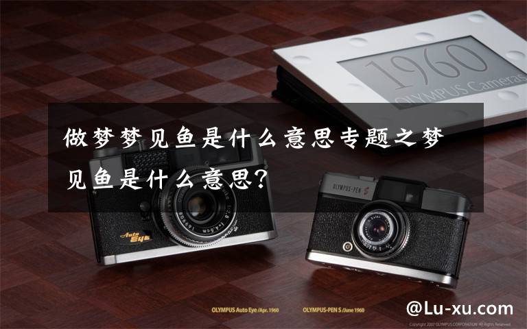 做梦梦见鱼是什么意思专题之梦见鱼是什么意思?