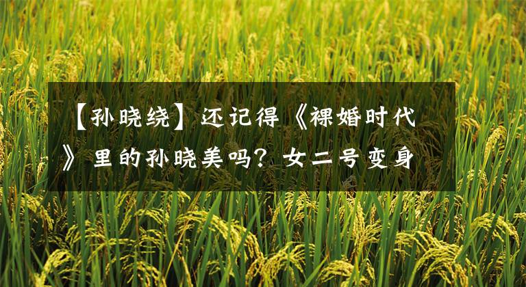 【孙晓绕】还记得《裸婚时代》里的孙晓美吗?女二号变身美女总裁