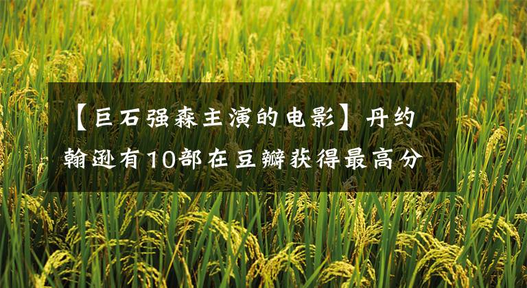 【巨石强森主演的电影】丹约翰逊有10部在豆瓣获得最高分的电影。