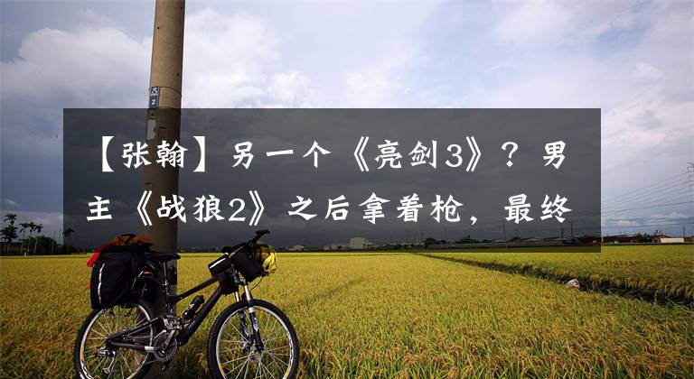 【张翰】另一个《亮剑3》?男主《战狼2》之后拿着枪,最终成为了总抗日神剧