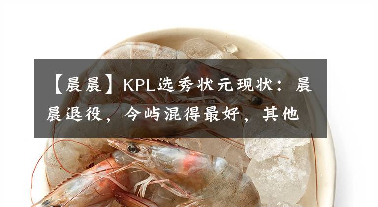 【晨晨】KPL选秀状元现状：晨晨退役，今屿混得最好，其他人含金量如何？