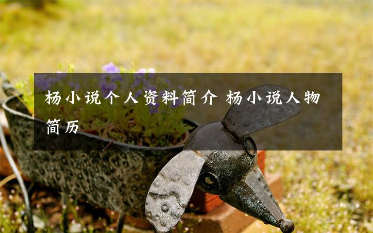 杨小说个人资料简介 杨小说人物简历