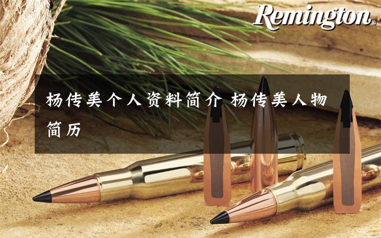 杨传美个人资料简介 杨传美人物简历