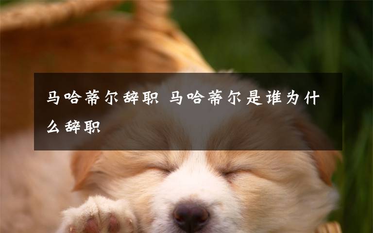 马哈蒂尔辞职 马哈蒂尔是谁为什么辞职