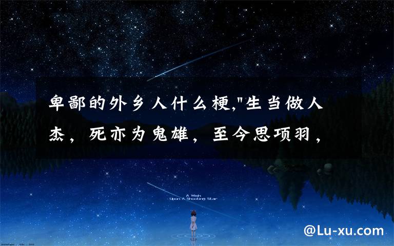 卑鄙的外乡人什么梗,