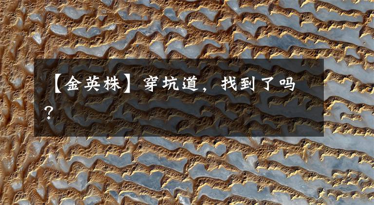 【金英株】穿坑道,找到了吗?